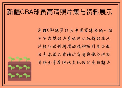 新疆CBA球员高清照片集与资料展示