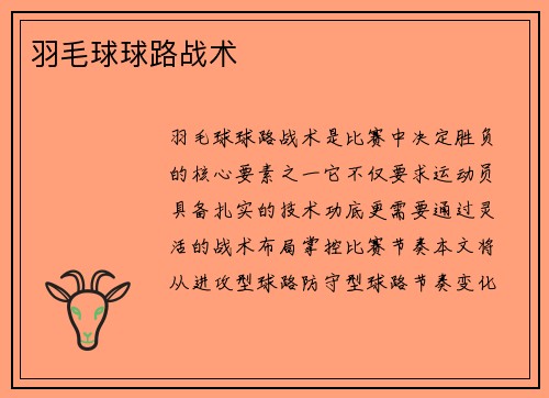 羽毛球球路战术
